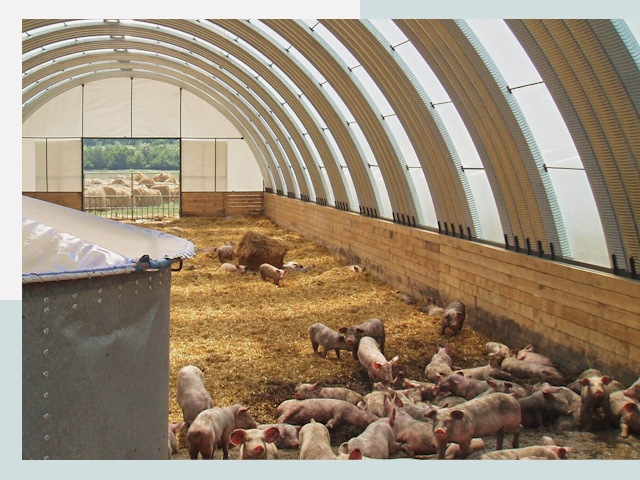 Строительство свинарников в Солнечногорске