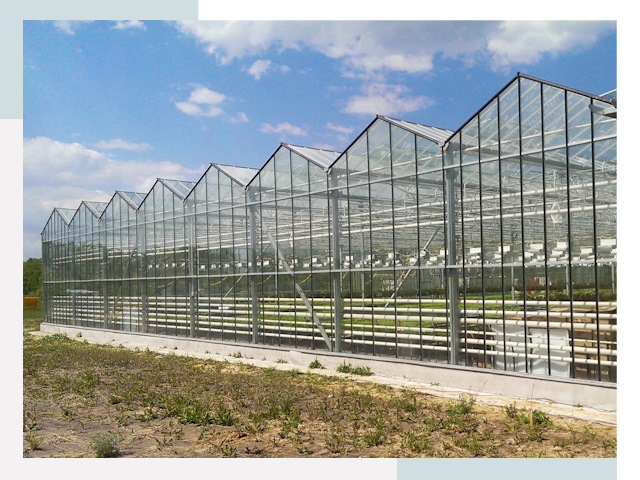 Строительство теплиц в Солнечногорск от 624 руб. за м²
