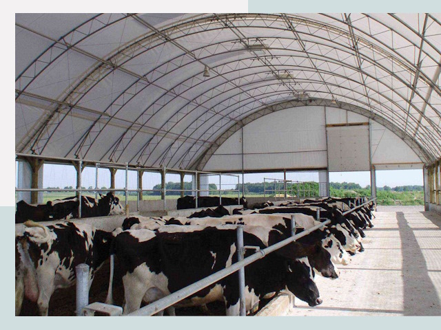 Тентовые коровники в Солнечногорске